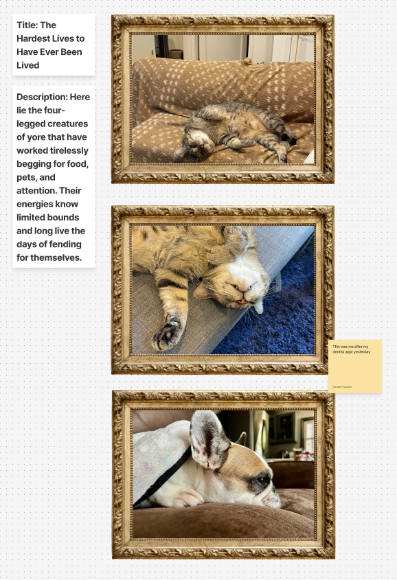Title: The Hardest Lives to Have Ever Been Lived Description: Here lie the four-legged creatures of yore that have worked tirelessly begging for food, pets, and attention. Their energies know limited bounds and long live the days of fending for themselves.